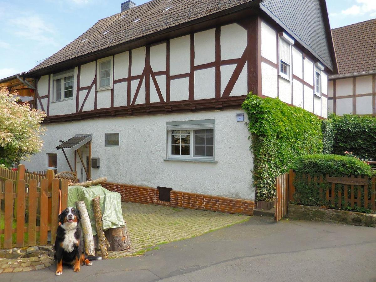 Small Apartment In Hesse With Terrace And Garden Frielendorf Zewnętrze zdjęcie